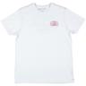 variation-BLANCO